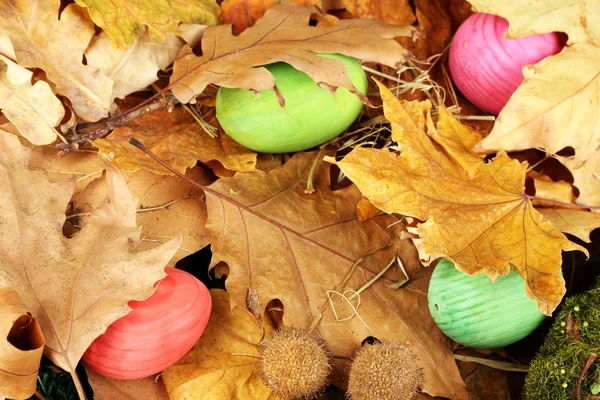 Easter eggs hidden in leaves — 图库照片