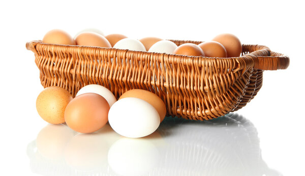 Many eggs in basket isolated on white