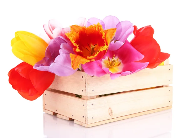 Mooie tulpen in boeket geïsoleerd op wit — Stockfoto