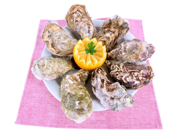 Oesters geïsoleerd op wit — Stockfoto