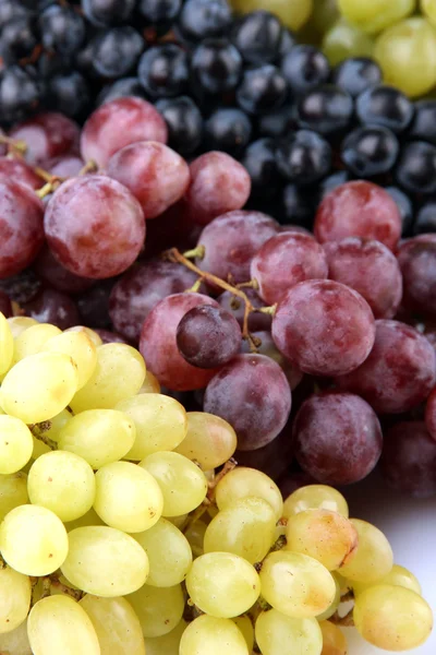 Sortimento de uvas doces maduras, close up — Fotografia de Stock