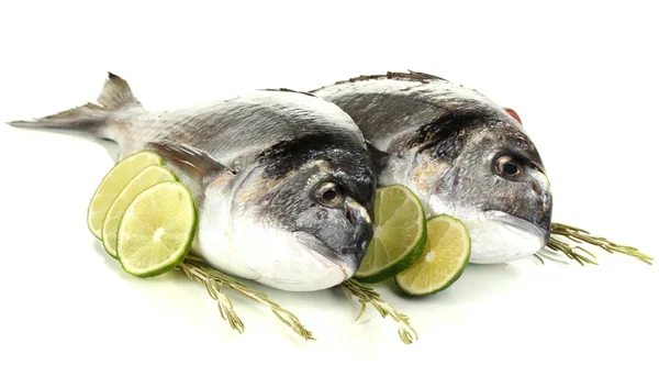 Dorado à deux poissons avec citron isolé sur blanc — Photo