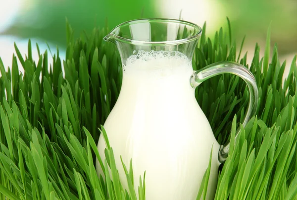 Glass pitcher of milk standing on grass close up — Stock Photo, Image