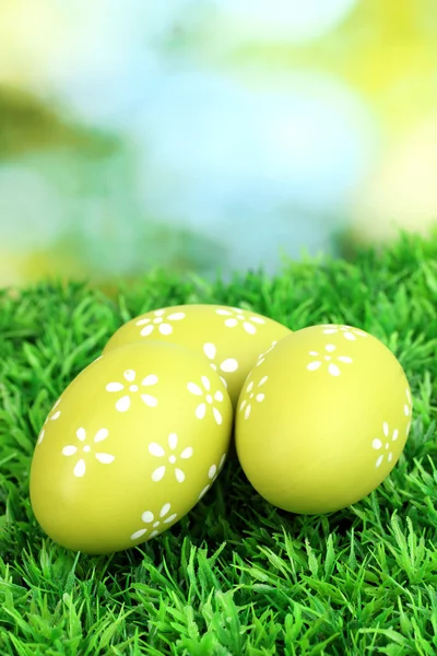 Colorful easter eggs on grass — Stock Photo, Image