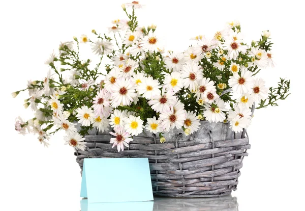 Mooi boeket van witte bloemen in mand geïsoleerd op wit — Stockfoto