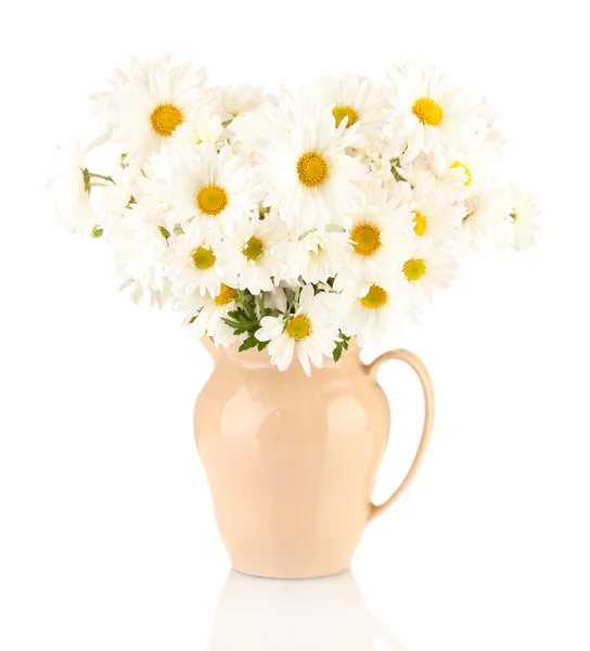 Daisies in vase isolated on white — Stock Photo, Image