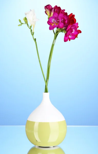 Beautiful bouquet of freesia in vase on blue background — Stock Photo, Image