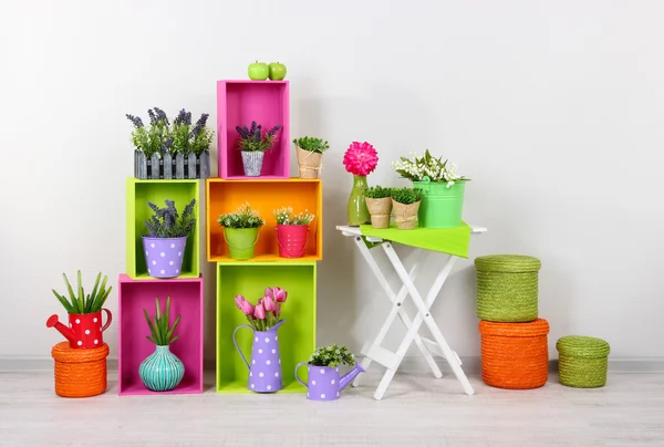 Hermosos estantes de colores con elementos decorativos de pie en la habitación —  Fotos de Stock
