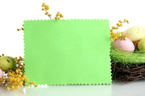 Cartão vazio com ovos de páscoa e flores de mimosa, isolado em branco — Fotografia de Stock