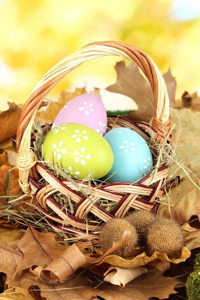 Huevos de Pascua en canasta de mimbre escondidos en hojas — Foto de Stock