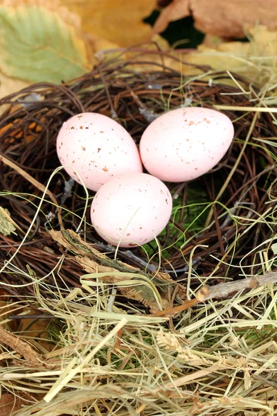 Easter eggs hidden in natural straw nest — Stock Photo, Image