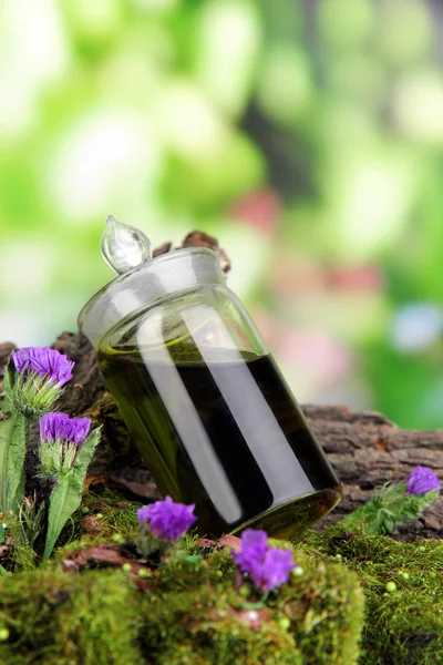 Bottle with basics oil on tree bark and stones close up — Stock Photo, Image