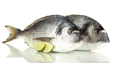 iki balık dorado limon ile üzerine beyaz izole.