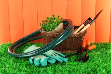bahçede çimlerin üzerine Bahçe aletleri