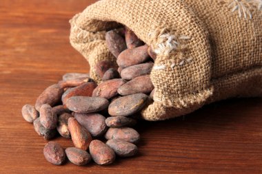 çanta ahşap zemin üzerine kakao çekirdekleri