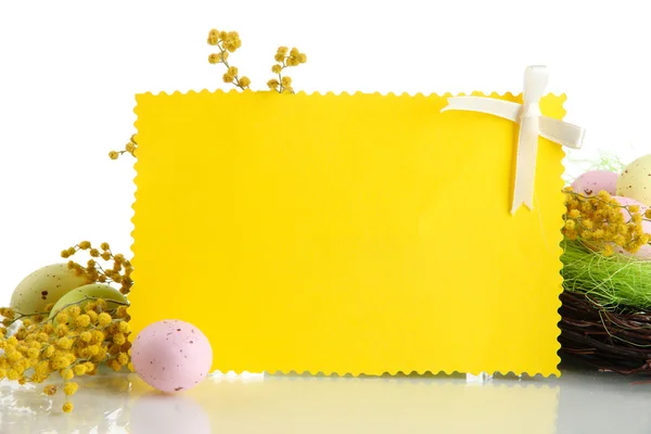 Empty card with easter eggs and mimosa flowers, isolated on white — Stock Photo, Image