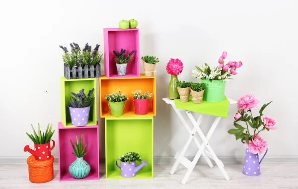 Beautiful colorful shelves with decorative elements standing in room — Stock Photo, Image