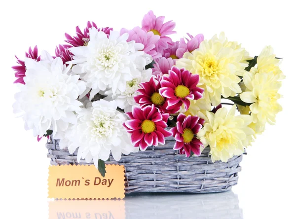 Bouquet de beaux chrysanthèmes dans un panier en osier isolé sur blanc — Photo