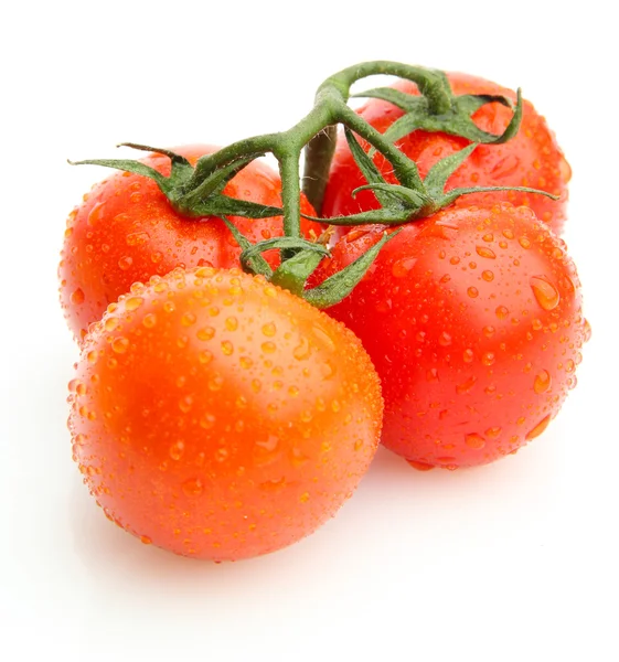 Tomates cerises sur une branche avec des gouttes isolées sur blanc — Photo