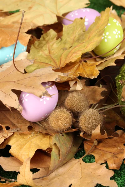 Easter eggs hidden in leaves — Φωτογραφία Αρχείου