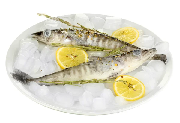 Peces congelados en plato con hielo aislado sobre blanco — Foto de Stock