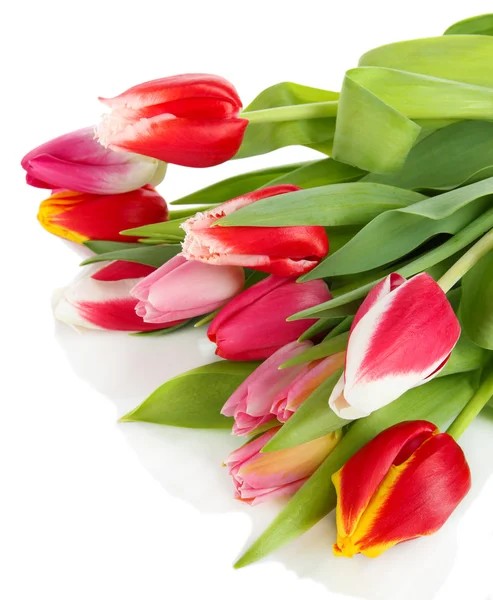 Beautiful tulips in bucket isolated on white — Stock Photo, Image