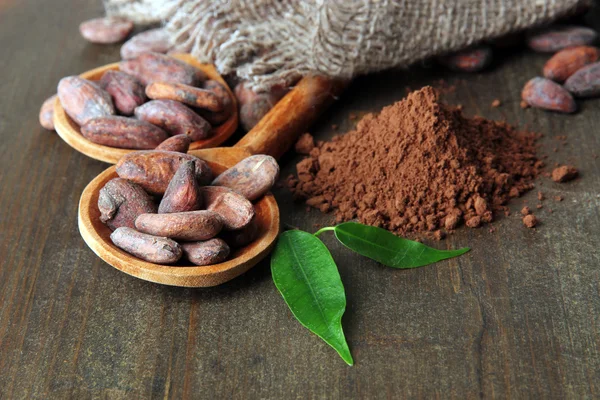 Cocoa beans in spoons and cocoa powder on wooden background — Stock Photo, Image