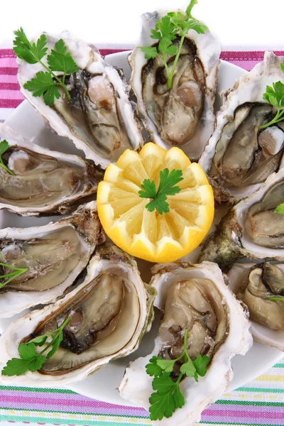 Oesters close-up — Stockfoto