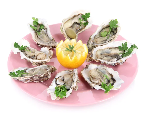 Oesters geïsoleerd op wit — Stockfoto