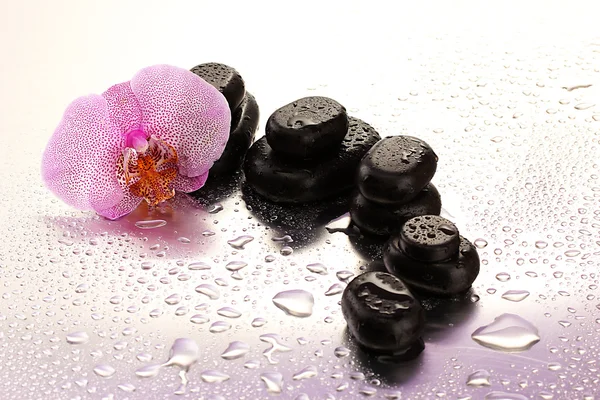 Piedras de spa y flor de orquídea, sobre fondo mojado —  Fotos de Stock