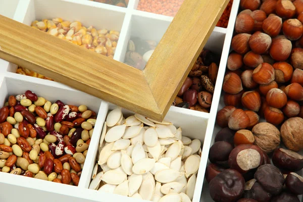 Assortment of chestnut,beans — Stock Photo, Image