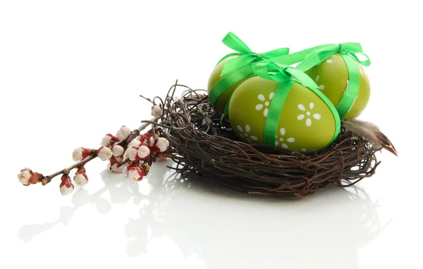Krásné velikonoční vejce v hnízdě a meruňkový květ, izolované na bílém — Stock fotografie