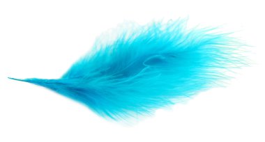 beyaz izole güzel dekoratif kuş tüyü