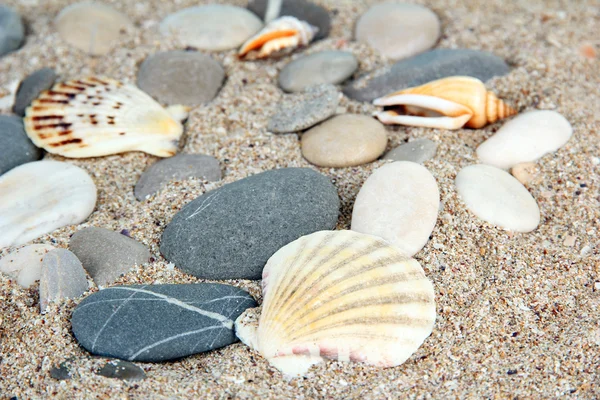 Pietre marine su fondo sabbia — Foto Stock