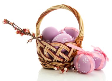 güzel Paskalya yumurtaları ve üzerinde beyaz izole kayısı çiçeği sepette,