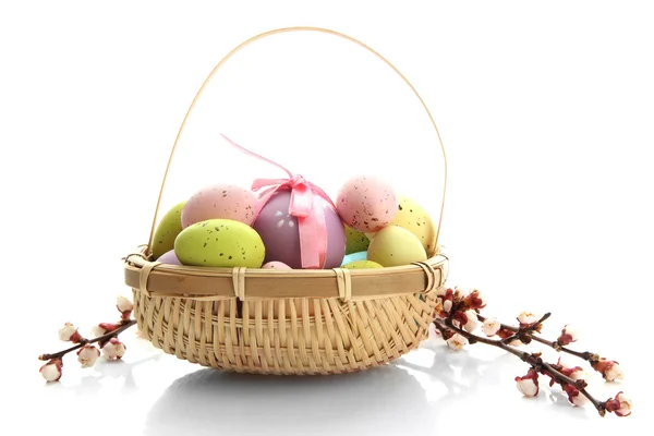 Hermosos huevos de Pascua y flor de albaricoque en cesta, aislado en blanco — Foto de Stock