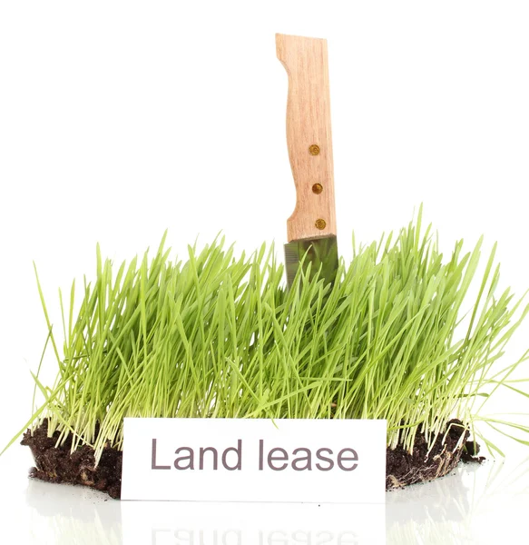 Green grass with ground as concept of land sale isolated on white — Stock Photo, Image