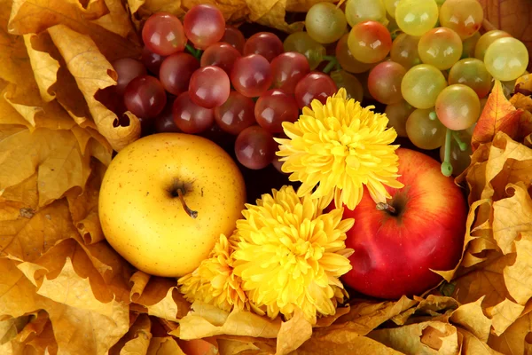 Autumnal composition with yellow leaves, apples and grape background Royalty Free Stock Images