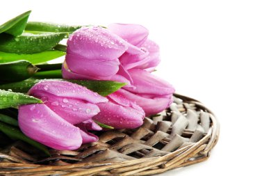 güzel beyaz izole mor Lale buketi