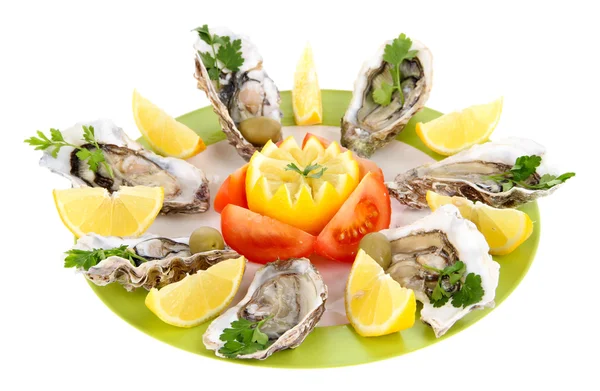 Oysters isolated on white — Stock Photo, Image