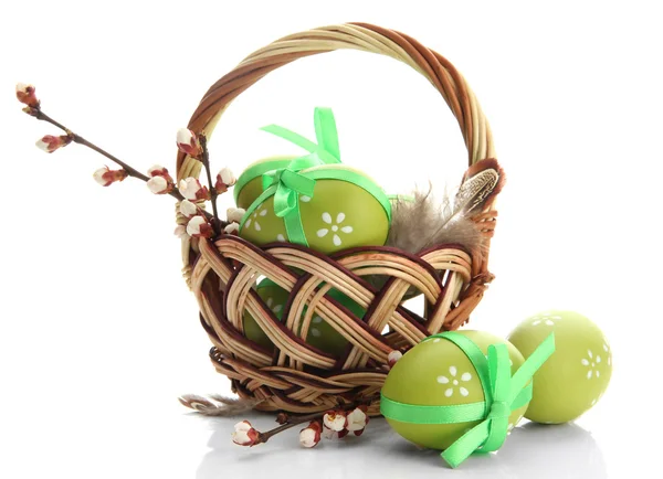 Beautiful easter eggs and apricot blossom in basket, isolated on white — Stock Photo, Image