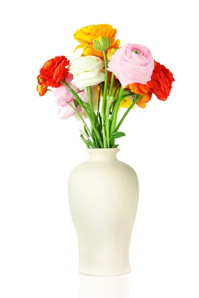Ranunculus (renoncule persan) en vase, isolé sur blanc — Photo