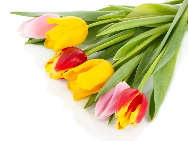 Beautiful tulips in bucket isolated on white — Stock Photo, Image