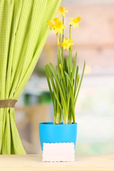 Bellissimi narcisi gialli in vaso da fiori sullo sfondo della finestra — Foto Stock