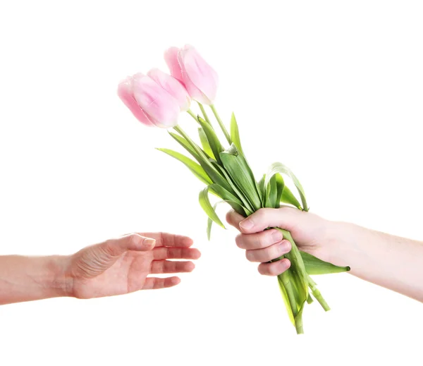 Mans hand ger kvinnans hand en blombukett med tulpaner, isolerad på vit — Stockfoto
