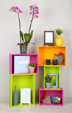 güzel renkli raflara farklı ev ilgili nesneleri