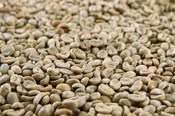 Zelená kávová zrna, zblízka — Stock fotografie