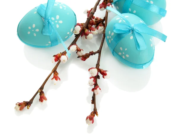 Beaux œufs de Pâques et fleurs d'abricot, isolés sur blanc — Photo