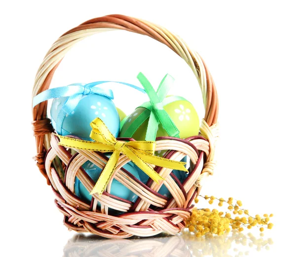 Huevos de Pascua en cesta y flores de mimosa, aislados en blanco — Foto de Stock