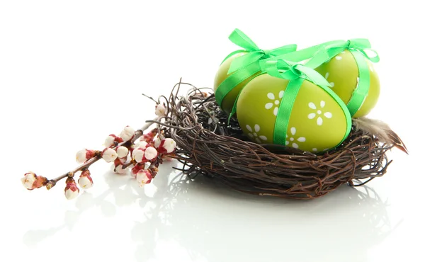 Hermosos huevos de Pascua en nido y flor de albaricoque, aislados en blanco — Foto de Stock